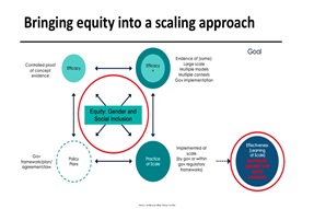Gender Equality and Social Inclusion framework