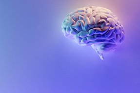 Blog post - Thriving with ADHD: Navigating work and parenthood A human brain