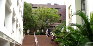 university of hong kong